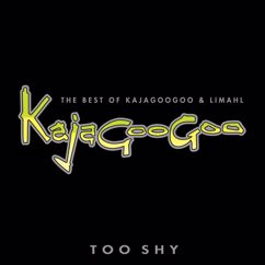 Kajagoogoo: Space Cadet