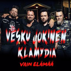 Vesku Jokinen, Klamydia: Enkeleitä yövuorossa (Vain elämää kausi 11)