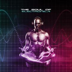 Various Artists: The Soul of Electronica