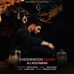 Ali Rostamian: Cheshemoon Zadan