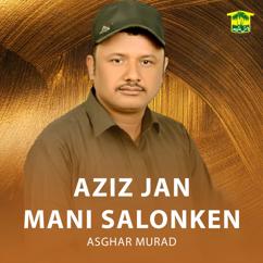 Asghar Murad: Aziz Jan Mani Salonken