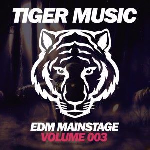Various Artists: EDM Mainstage (Volume 003)