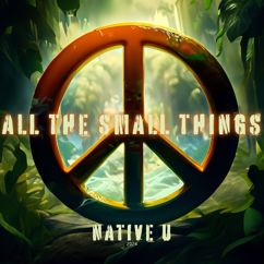 Native U: All the Small Things
