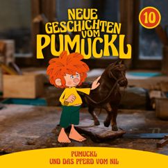 Pumuckl: 10: Pumuckl und das Pferd vom Nil (Neue Geschichten vom Pumuckl) (10: Pumuckl und das Pferd vom NilNeue Geschichten vom Pumuckl)