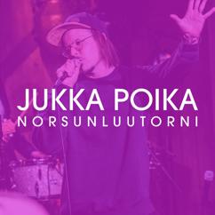 Jukka Poika: Norsunluutorni (Vain elämää kausi 12)