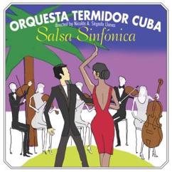 Orquesta Termidor: Mi Salsa Tiene Sandunga