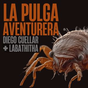 Diego Cuellar & Labathita: La Pulga Aventurera