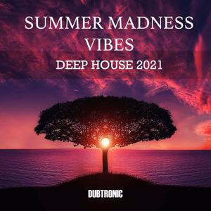 Various Artists: Summer Madness Vibes Deep House 2021