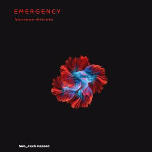 Various Artists: Emergency