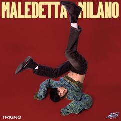 trigNO: Maledetta Milano