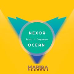 Nexor: Fellow In