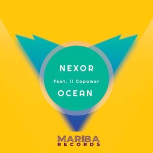 Nexor: Fellow In