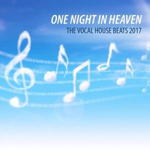 Various Artists: One Night in Heaven: The Vocal House Beats 2017