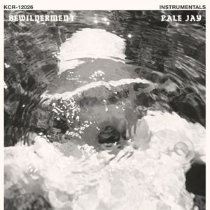 Pale Jay: Bewilderment (Instrumentals)