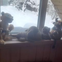 Сергей Краснопольский: Пантелеймон, Георгий и Серафим