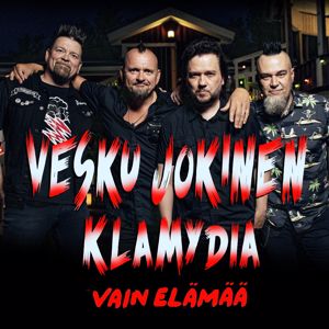 Vesku Jokinen, Klamydia: Enkelin silmin (Vain elämää kausi 11)