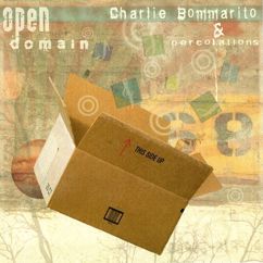 Charlie Bommarito: Open Domain