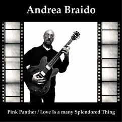 Andrea Braido: Pink Panther Theme / Love Is a Many Splendored Thing