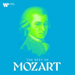 Paul Meyer, Ensemble Orchestral de Paris, John Nelson: Mozart: Clarinet Concerto in A Major, K. 622: II. Adagio