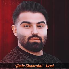 Amir Shahraini: Derd