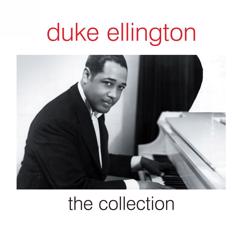 Duke Ellington: I'm Beginning to See the Light