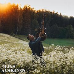 Elias Kaskinen: Pisaroita
