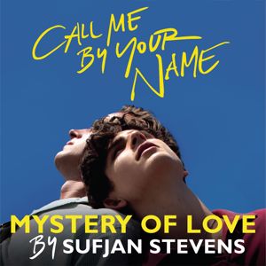 Sufjan Stevens: Mystery of Love