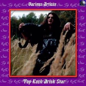 Various Artists: Top Rock Arisk Star