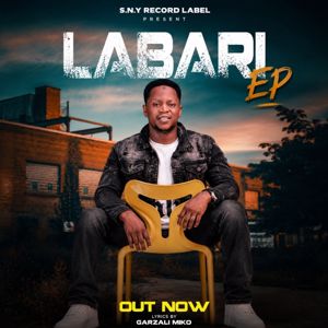Garzali Miko: Labari
