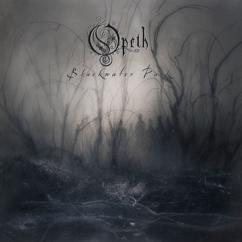 Opeth: The Leper Affinity (Live)