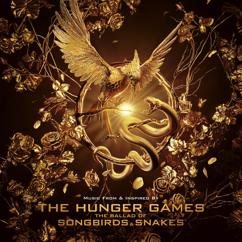 Flatland Cavalry: Wool (from The Hunger Games: The Ballad of Songbirds & Snakes)