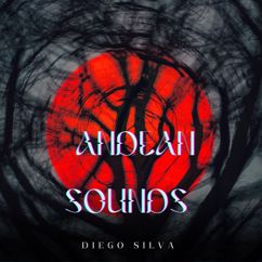 Diego Silva: Andean Sounds