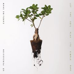Caroline Shaw, Sō Percussion: Cast the Bells in Sand