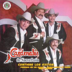 Cardenales De Nuevo León: La Fortaleza Está Contigo