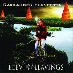 Leevi And The Leavings: Koko talvi kesämökillä (Instrumental)
