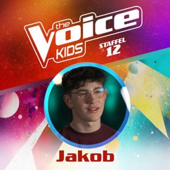 Jakob, The Voice Kids - Germany: Sounds of Silence (aus "The Voice Kids, Staffel 12") (Finale Live)