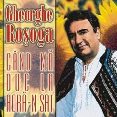 Gheorghe Rosoga: Pe sub poala padurii