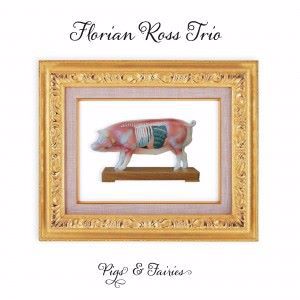 Florian Ross Trio: Pigs & Fairies