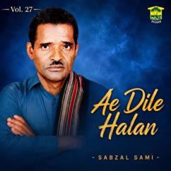 Sabzal Sami: Ae Dile Halan, Vol. 27