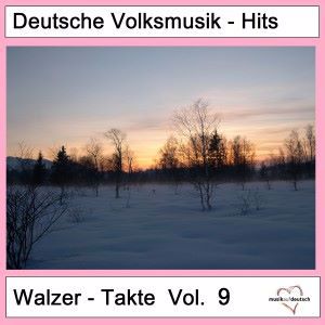Various Artists: Deutsche Volksmusik-Hits: Walzer-Takte, Vol. 9