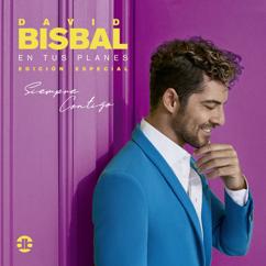 David Bisbal: Perdón