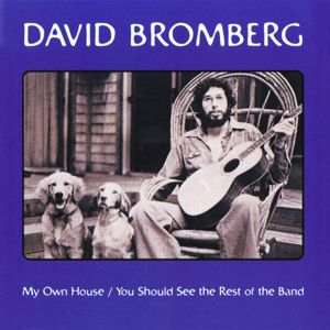 David Bromberg: My Own House / You Should See The Rest Of The Band