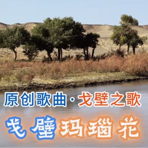 山海灘駱駝刺: 戈壁瑪瑙花