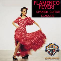 Daniel Fries, Roberto Zamora: Mi Cante Del Flamenco  (Vocal Version)