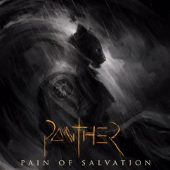 Pain Of Salvation: KEEN TO A FAULT