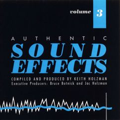 Authentic Sound Effects: Machine Guns