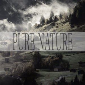 Nature Sounds: Pure Nature