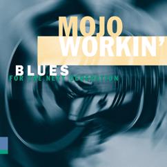 Various Artists: Mojo Workin': Blues For The Next Generation
