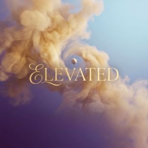 Vyn Stattic: Elevated