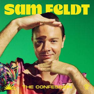 Sam Feldt: The Confession